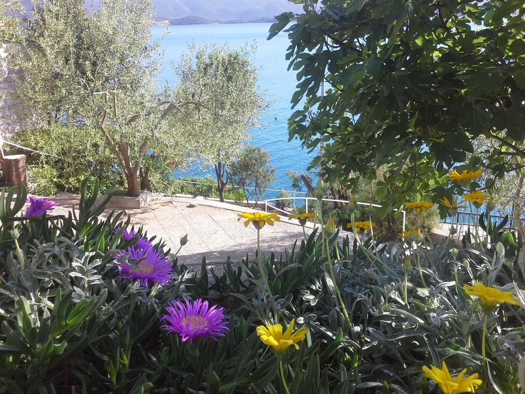 Apartments Mediteraneo كليك المظهر الخارجي الصورة